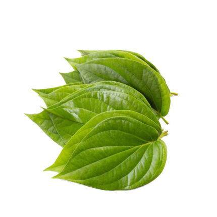 Betel Leaves - 1Pack / తమలపాకులు