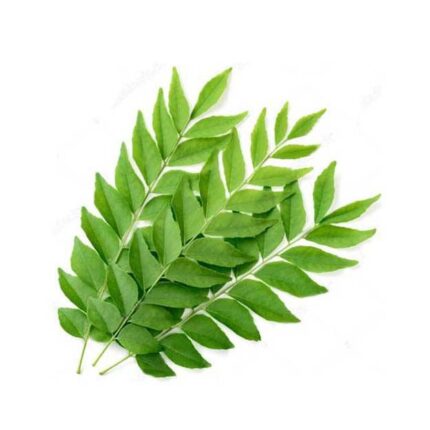 Curry Leaves - 1Pack / కరివేపాకు