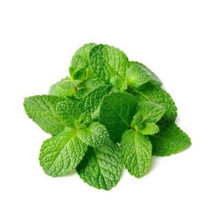 Mint Leaves - 1Pack / పుదీనా ఆకులు