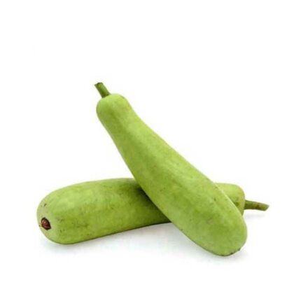 Bottle Gourd - 1Pc. / సోరకాయ