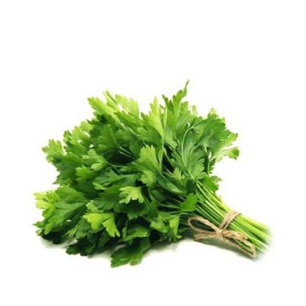 Coriander - 1Pack / కొత్తిమీర